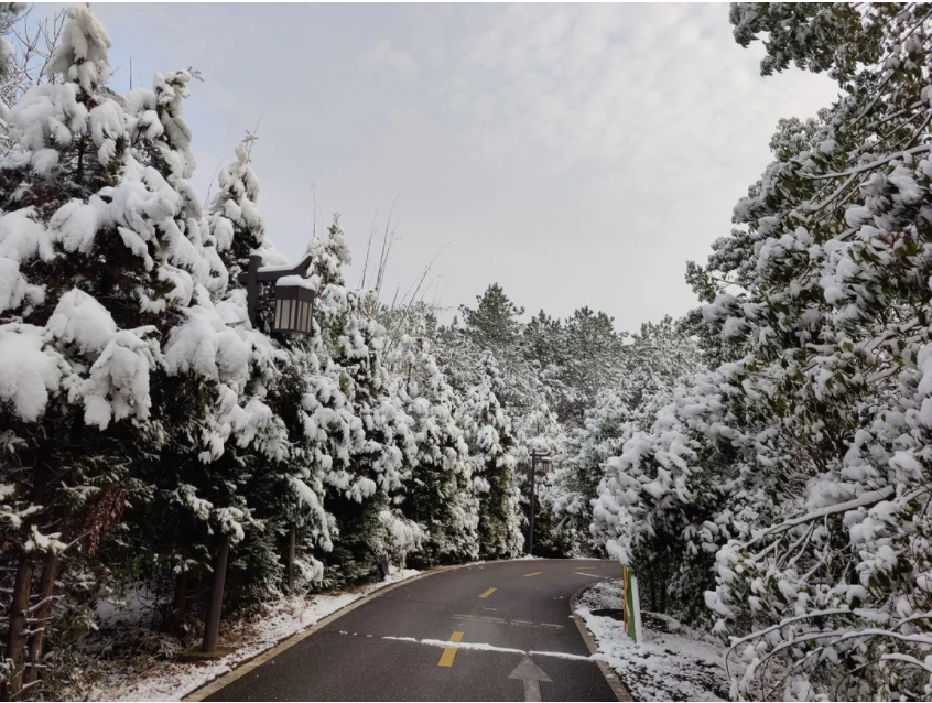 雪天的茶園道路.png 雪天的茶園道路.png