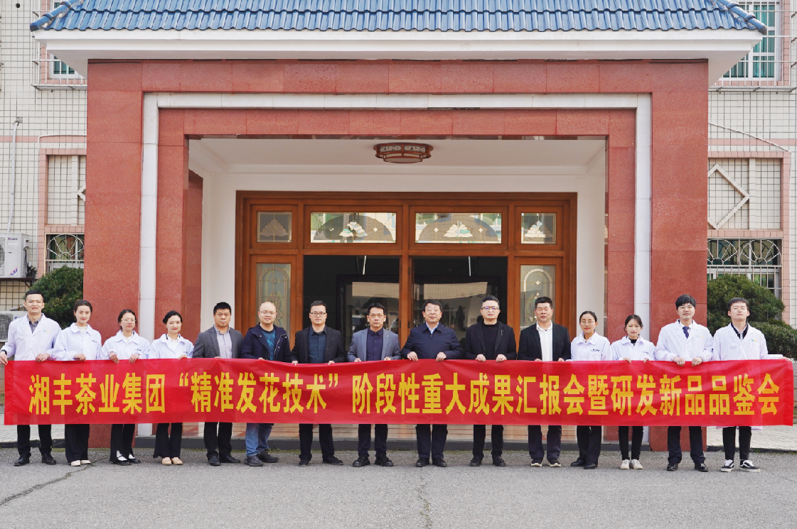 湘豐茶業(yè)集團(tuán)“精準(zhǔn)發(fā)花技術(shù)”取得重大階段性成果! 湘豐茶業(yè)集團(tuán)“精準(zhǔn)發(fā)花技術(shù)”取得重大階段性成果!