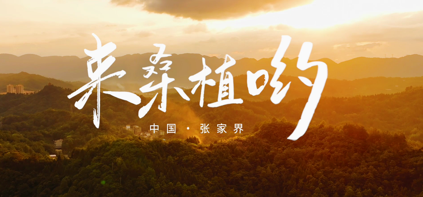 桑植推廣歌曲《來桑植喲》發布！