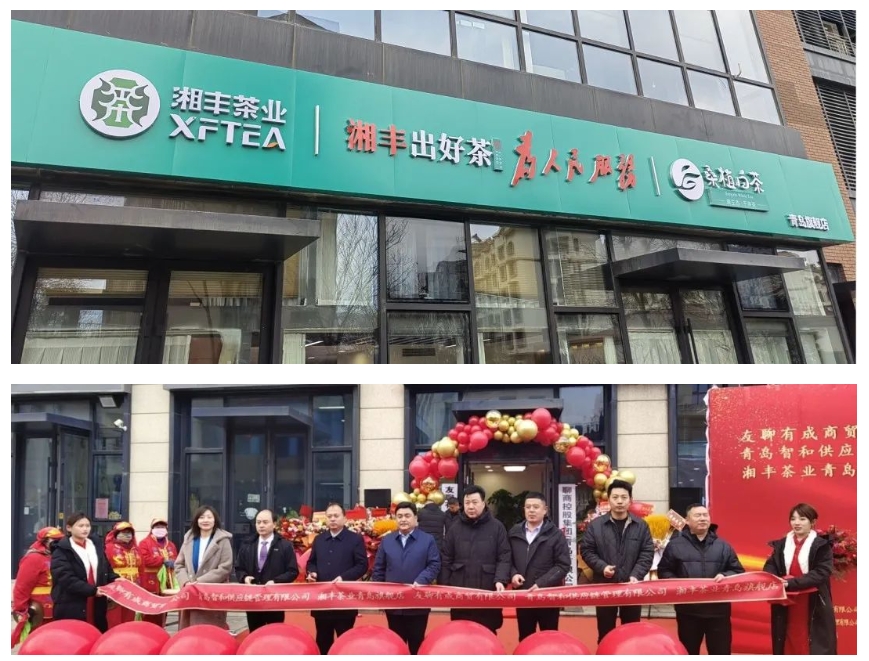 青島旗艦店盛大開業(yè)！湘豐茶業(yè)集團全國布局再下一城