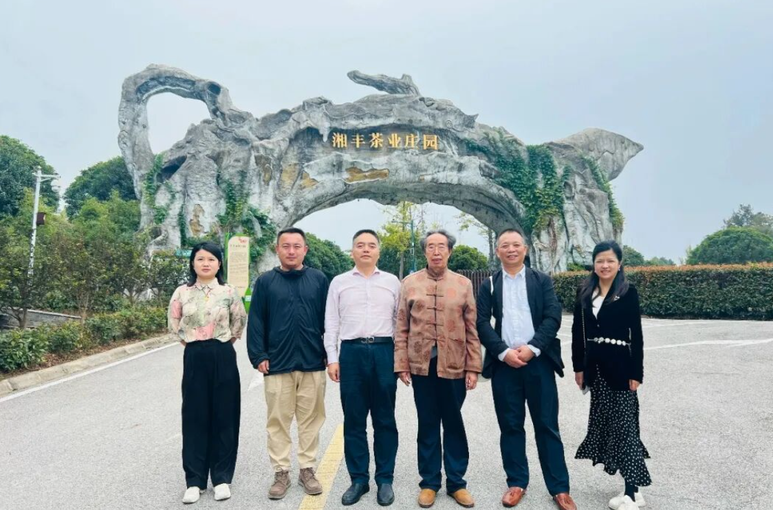 湖南省茶文化研究會會長肖濤一行調研湘豐茶業集團 共促茶文化傳承與產業創新