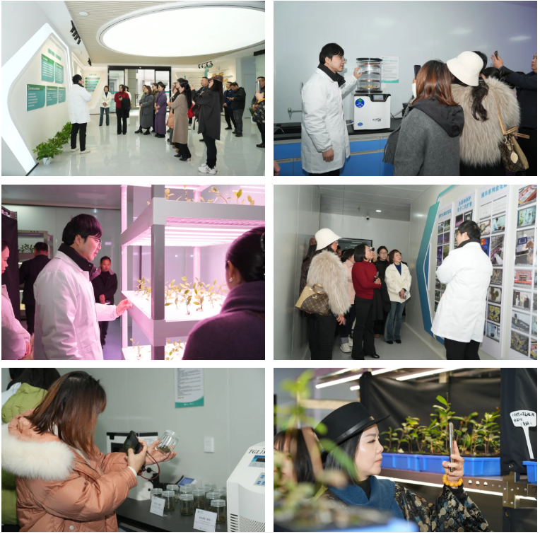 ScreenShot_2025-12-30_164420_959.png ScreenShot_2025-12-30_164420_959.png